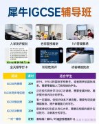 上海犀牛IGCSE培训课程，徐汇、闵行、黄浦7大校区可选