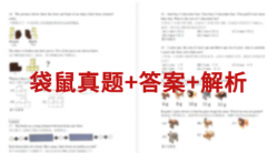 2027年袋鼠数学竞赛备考启动!犀牛国际教育袋鼠竞赛培训课程新班上线，全国 30 + 校区就近学