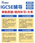 香港铜锣湾附近有没有推荐的IGCSE课程培训机构？香港犀牛IGCSE培训课程真不错