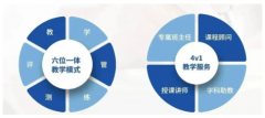 IB培训小班课还是1V1好？犀牛教育IB培训课程，线下\线上同步招生中