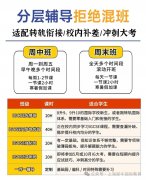 上海犀牛教育IGCSE培训课程，分基础设班，浦东、徐汇、黄浦、闵行线下授课