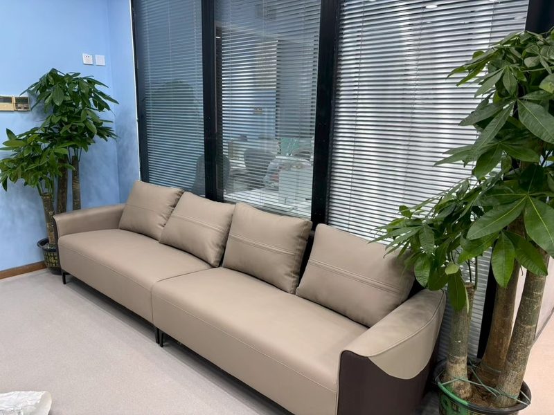 顺义祥云小镇校区家长休息区（沙发与绿植）